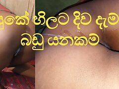 tonguing Assfuck Sinhala Sheer pleasure